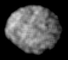 Image of Larissa Information Page